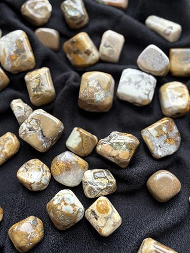 Image of Tumbled Stones, Natural Crystal Healing Stones, Home Office Decor, Aquarium Decorative Pebbles, Vase Fillers (Cobra Jasper, 100)