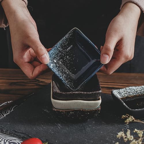 Juego 5 platos de cerámica japonesa para sushi miniatura 4