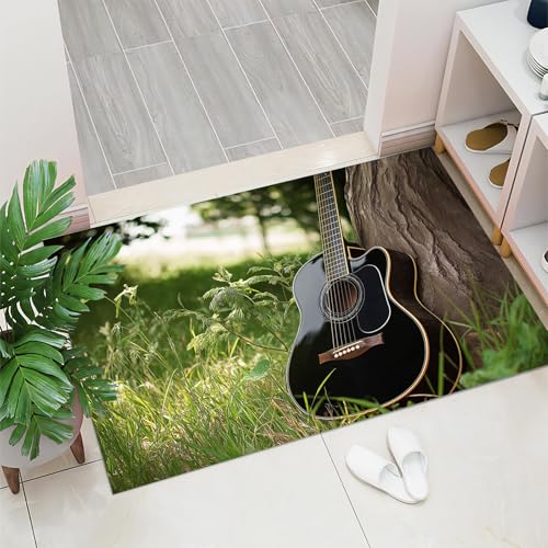 Paillasson entree 80x120cm tapis interieur absorbant antiderapant - 3
