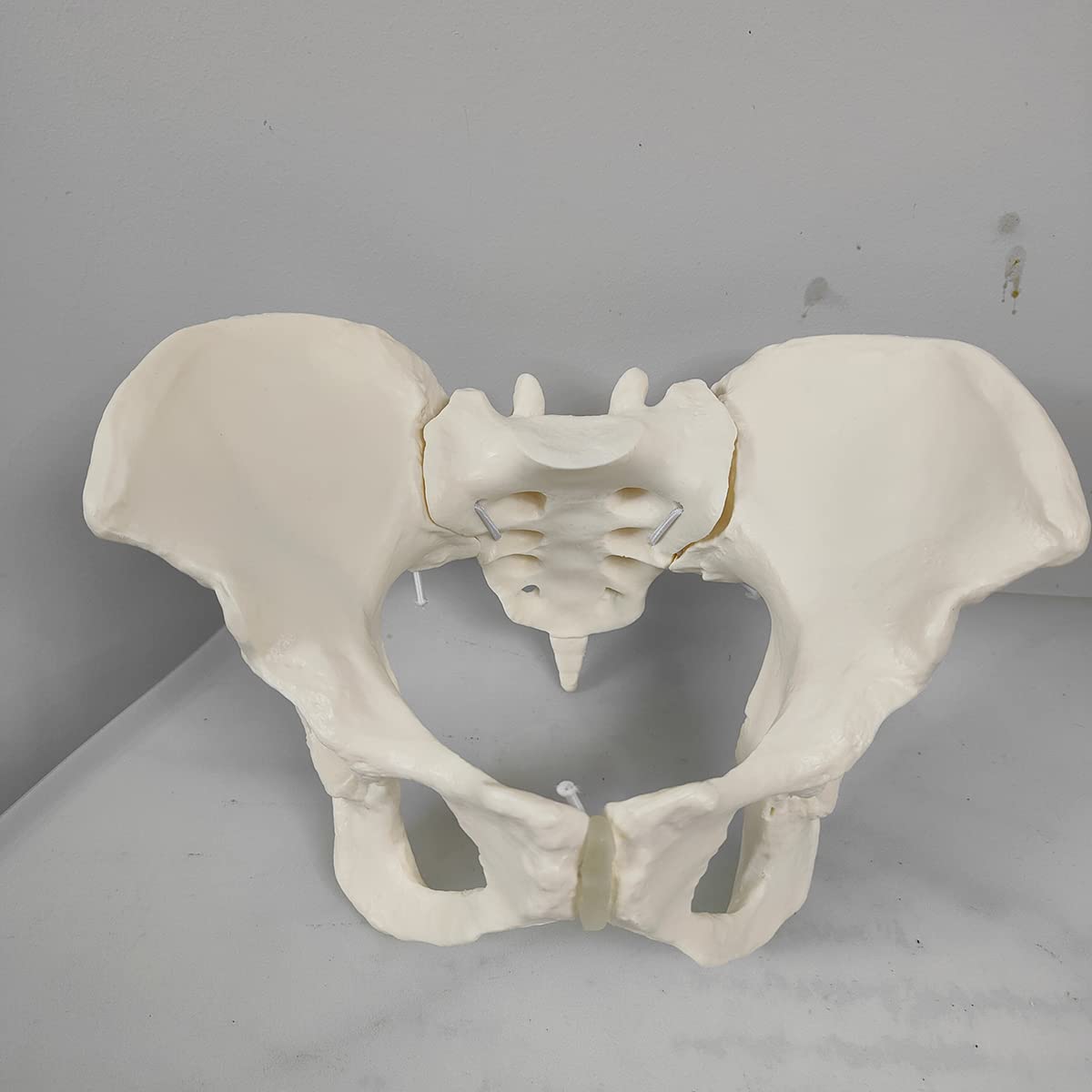 Model treningowy położnictwa – elastyczna silikonowa lalka model miednicy żeńskiej - poród miednicy, ginekologia, nauczanie anatomii, model medyczny do edukacji naukowej, z ciemiączkiem (mężczyzna)