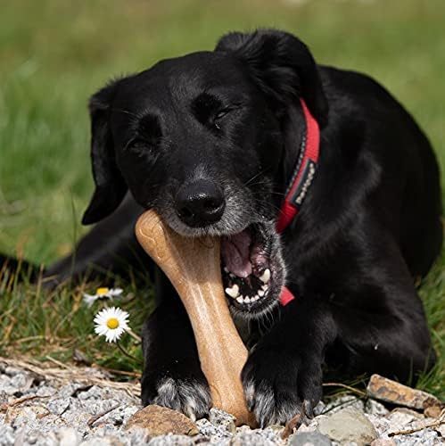 Petface Planet Wood Chew Eco Friendly Dog Bone Toy - Image 5