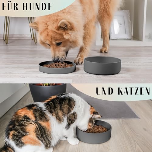 ne&no® Silikon Hundenapf 1200 ml mit Deckel für kleine und mittelgroße Hunde | im Kühlschrank luftdicht verschlossen | Futternapf Hund rutschfest | Fressnapf Hund Set