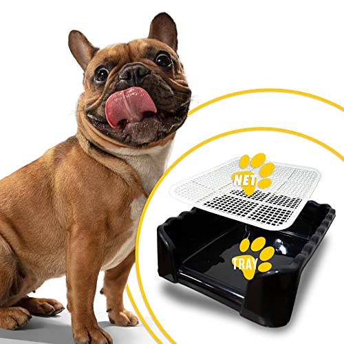 Image of Lutema Indoor /Outdoor Training Dog Potty Tray for Small and Medium Puppies Litter Boxes in (Black)