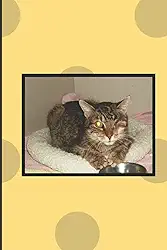 Taz's Story: Journal