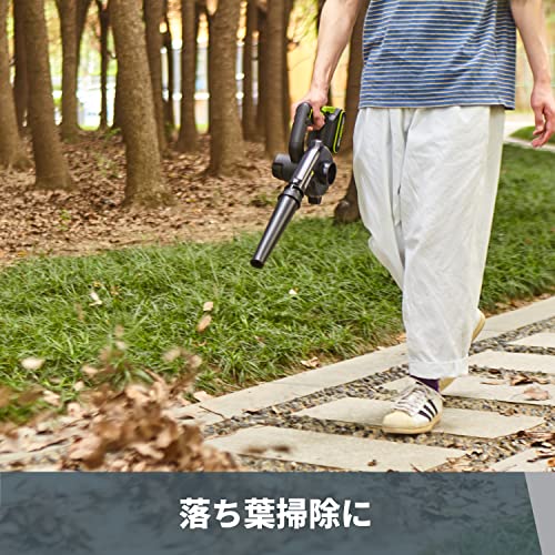 WORX（ワークス） 充電式ブロワー 18V (20V Max）コードレスブロワー風量3段階切替 無段変速 軽量コンパクト 落ち葉掃除 洗車後の水滴吹き飛ばし 蓄電池・充電器付き WU230 5枚目