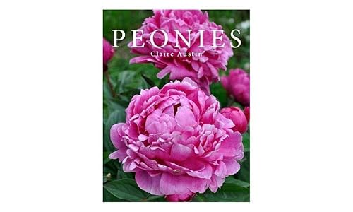 Peonies