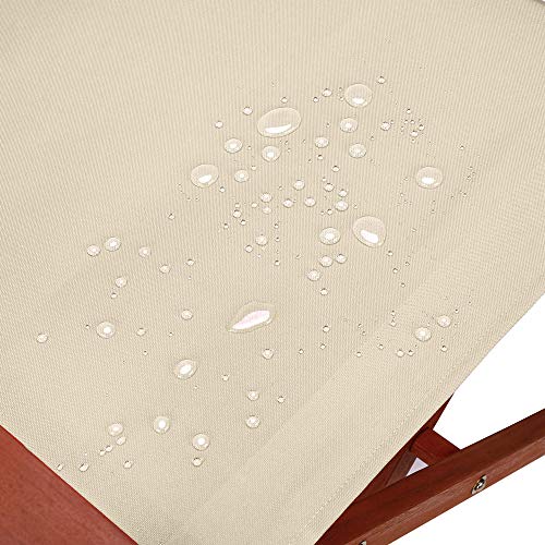 Casaria 993726