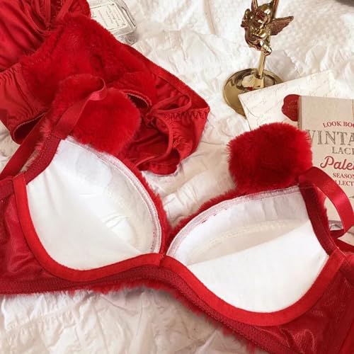 Image of Imported Fluffy Teddy Bra Panty Set for Women Cute Lingerie Soft Teddy Lingerie Cute Cartoon Design Bra Set Bridal Lingerie Set for First Night Honeymoon Date Night Anniversary Birthday