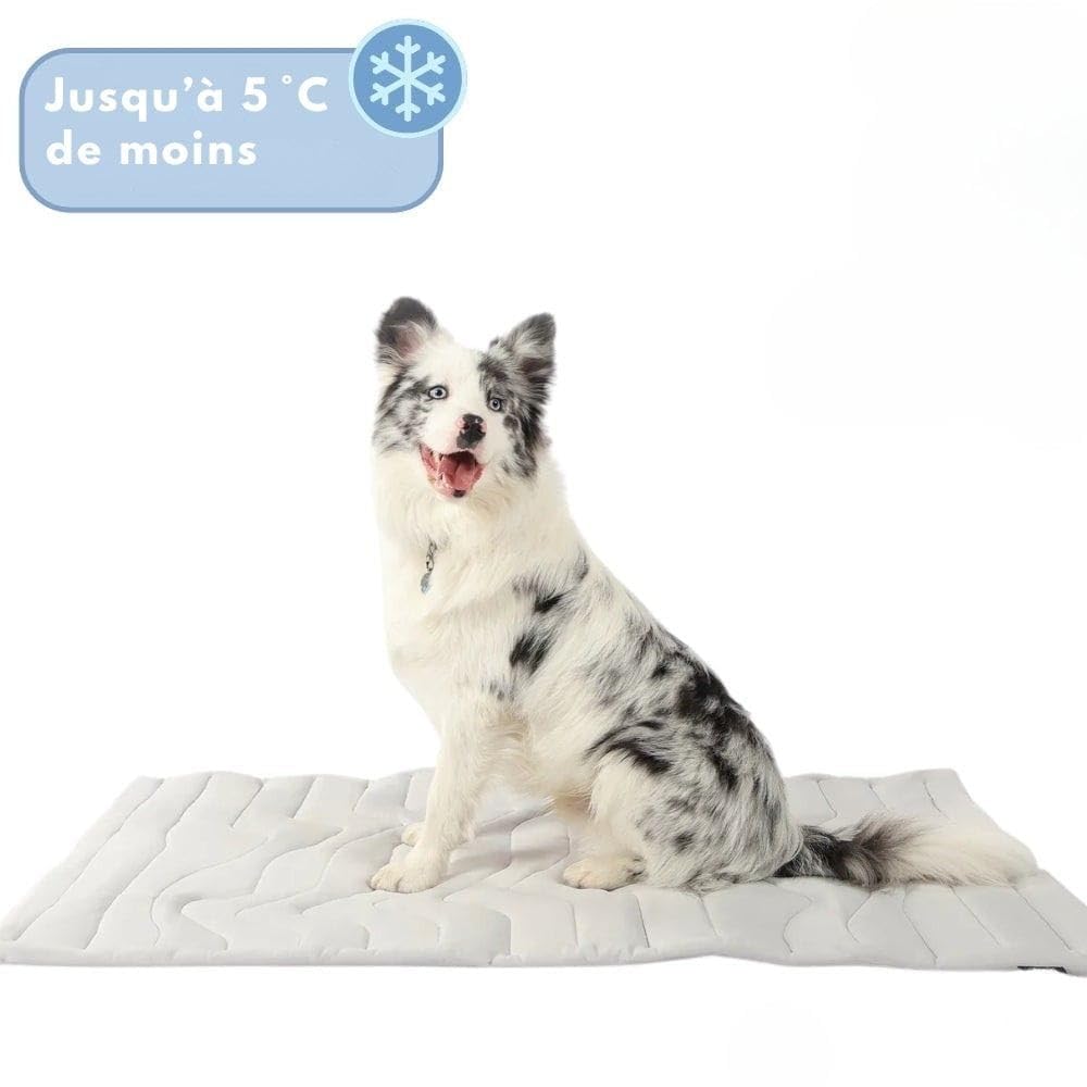 MEIION montalpin Mont Alpin Tapis rafraîchissant innovant pour Chien Tapis Rafraîchissant pour Chien et Chat, Tapis Réfrigérant Durable pour Animaux de Compagnie de Toutes Tailles