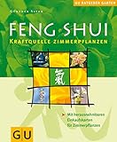  Feng Shui Zimmerpflanzen