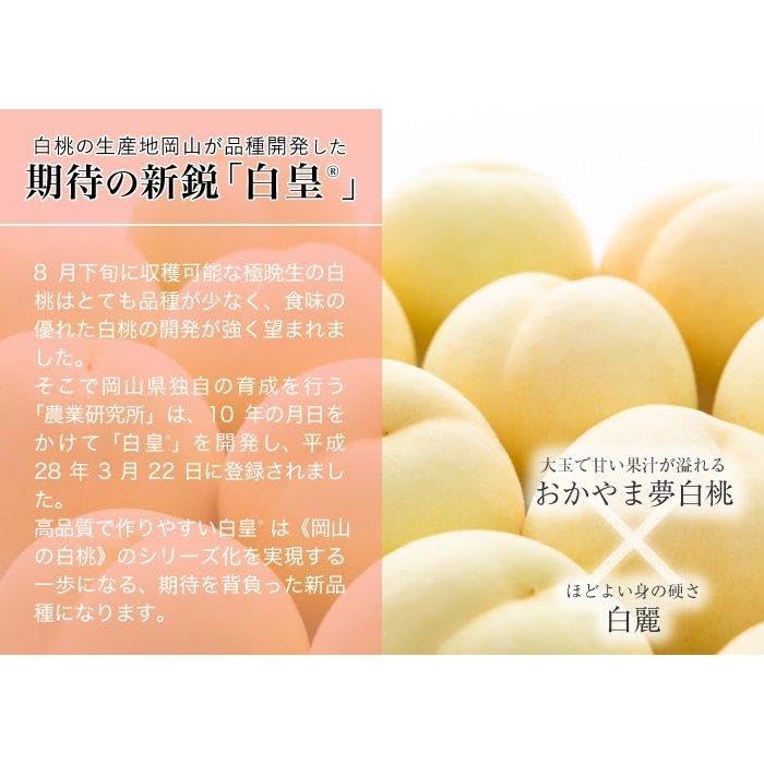 岡山県産白桃 白麗 ロイヤル 6個入り Amazon.co.jp: 桃 白皇 はくおう 岡山白桃 ロイヤル 2Lサイズ 250g×3玉