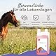 PHA Antistress Liquid für Pferde - Natürliche Unterstützung bei Nervosität, Angst & Stress, mit Vitamin B12, Magnesium, Calcium, Zink & Tryptophan, 1L