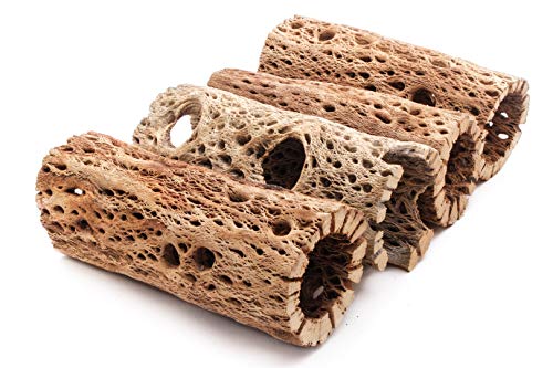 Image of 3 to 48 Inch All Natural Teddy Bear Cholla Wood Extra Hollow Large Untreated Organic Aquarium Driftwood Decoration Chew Toy Shrimp Crab Multi-Quantity (4 Pieces, 6 inch)