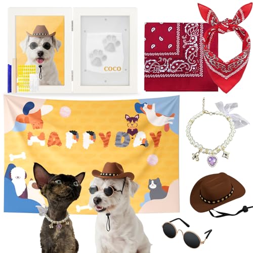 Kit Fiesta para Perros y Gatos con Sombrero y Accesorios