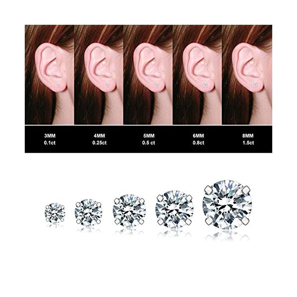 5-Pairs-Stud-Earrings-Set-Hypoallergenic-Cubic-Zirconia-316L-Earrings-Stainless-Steel-CZ-Earrings-3-8mm-Rose-Gold- 5 Pairs Stud Earrings Set, Hypoallergenic Cubic Zirconia 316L Earrings Stainless Steel CZ Earrings 3-8mm (Steel color)