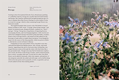 Edible Flowers: How, Why, and When We Eat Flowers