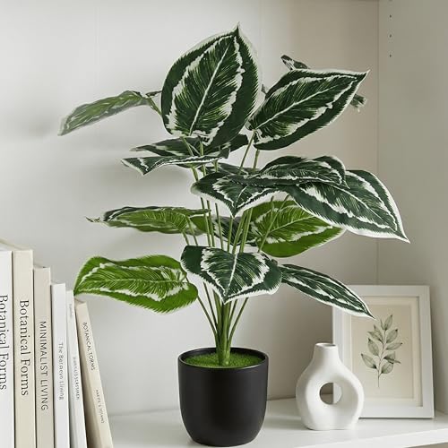 Image of Dekorly Plastic Artificial Palm Plants Leaves Faux Turtle Leaf Fake Monstera Tropical Large Palm Tree Leaves Outdoor Leaf Decorations | 26Inch Plants with Blackpot (Calathea)