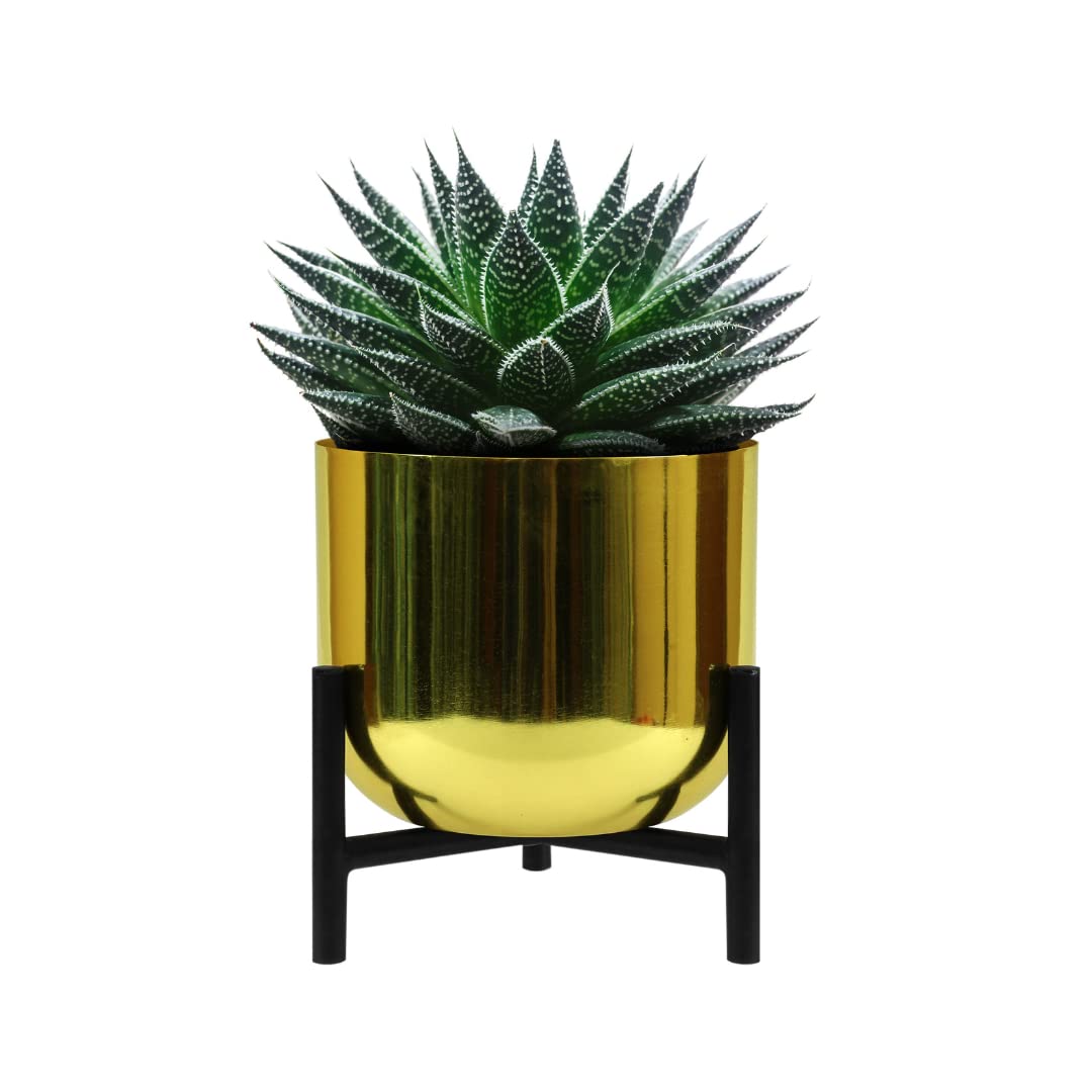 vudy Metal Plant Pot Indoor Planter Flower Pots with Drainage Hole