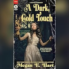 A Dark Cold Touch Audiolibro Por Megan Hart arte de portada