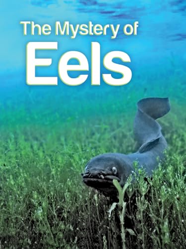 The Mystery of Eels
