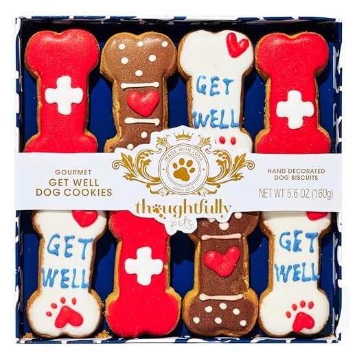 Thoughtfully Pets, Get Well Dog Cookies Gift Set, Ginger Flavored Crunchy Dog Treats Includes Colorfully Hand Decorated Get Well Themed Dog Biscuits to Brighten Their Day, Pack of 8