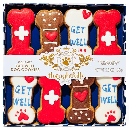 Image of Thoughtfully Pets, Get Well Dog Cookies Gift Set, Crunchy Dog Treats Includes Colorfully Hand Decorated Get Well Themed Biscuits to Brighten Their Day, Set of 8