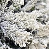 Generico B0CKW3HKWF lato 4