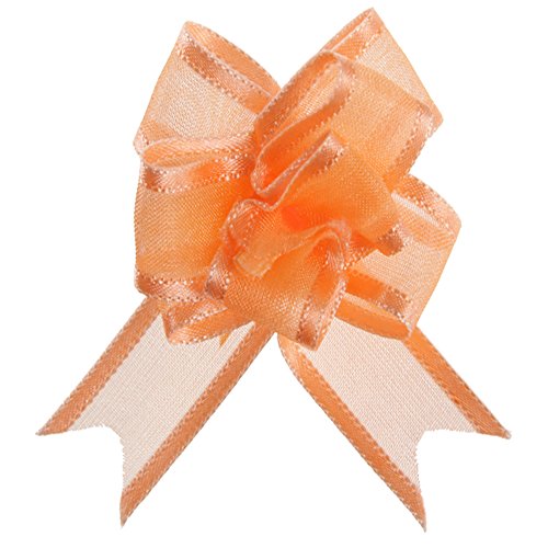 Santex Mini Noeud Automatique Organdi pêche Corail x5