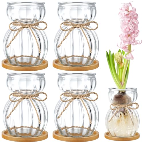 LemonRoad 4 Pcs Bulb Glass Vases for Flowers Forcing Hyacinth Avocado Clear Decorative Bulb Vase with Round Bamboo Coaster for Women Gardening Lovers Home Office Plant Table Decoration
