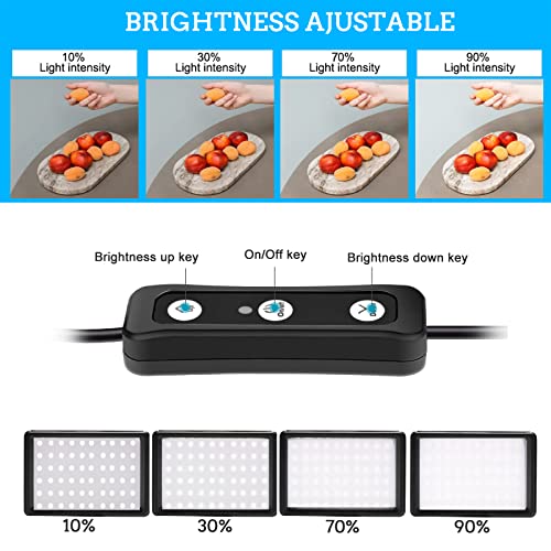 Ci-Fotto LED 2-Pack