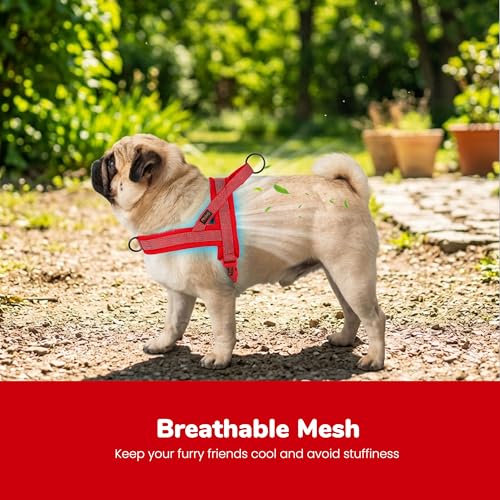 Image of Didog No Pull Dog Harness for Medium Dogs, Breathable Mesh Padded, Red, M