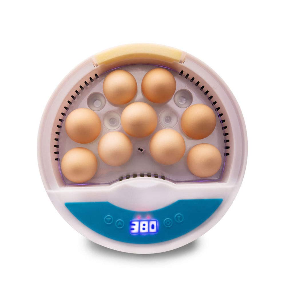 TopHomer Incubatrice automatica digitale 9 uova Mini casa con luce LED e regolazione della temperatura per pollame o regalo per bambini