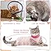 HACRAHO Cat Recovery Suit, 1 Pack Pink Fox Recovery Suit for Cat Cat Wound Surgery Recovery Suit for Cats Kitten, S