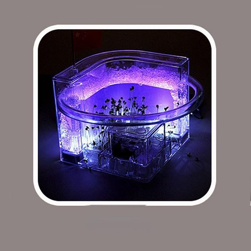 Boîtes fourmi maison nid artificiel violet BBAUER kit élevage pour enfant