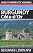 Wines of Burgundy: Côte d'Or (Guides to Wines and Top Vineyards)