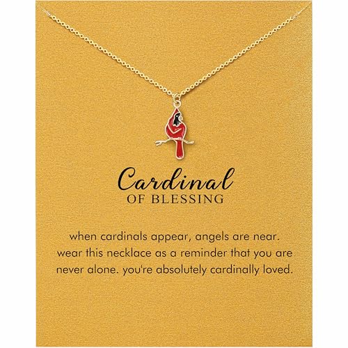 OBSUN Cardinal Necklace Red Cardinal Gifts for Women Sympathy Gifts For Loss Of Loved One Mom Dad Grandma