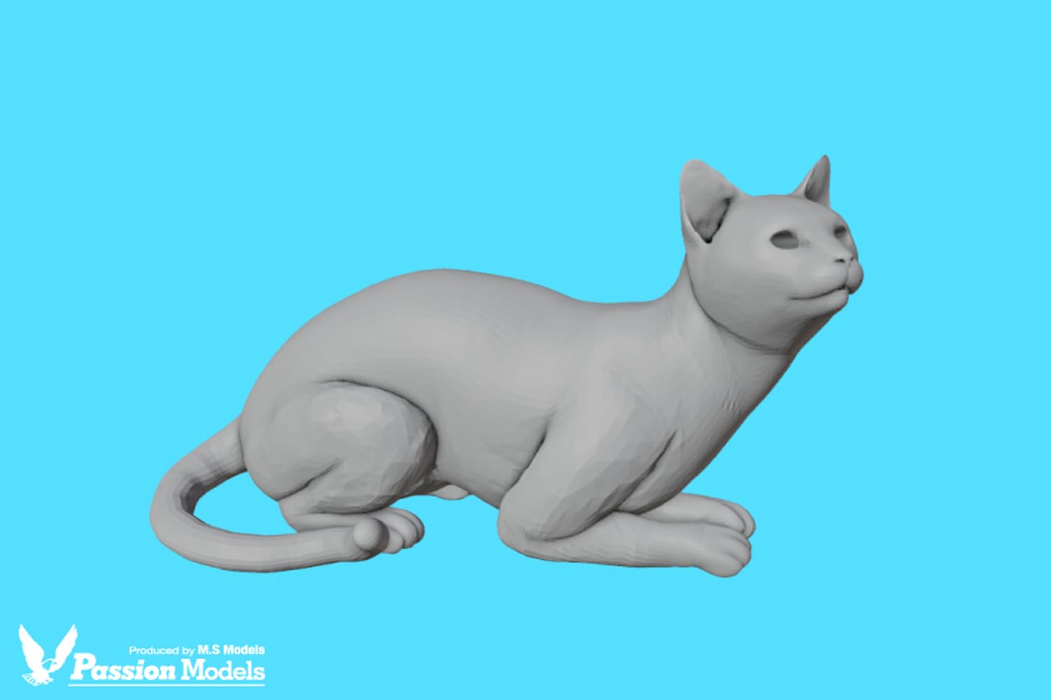 ネコ好き ねこ好きによる、ねこ好きとねこの為のお祭り『ねこフェス』2025年2月