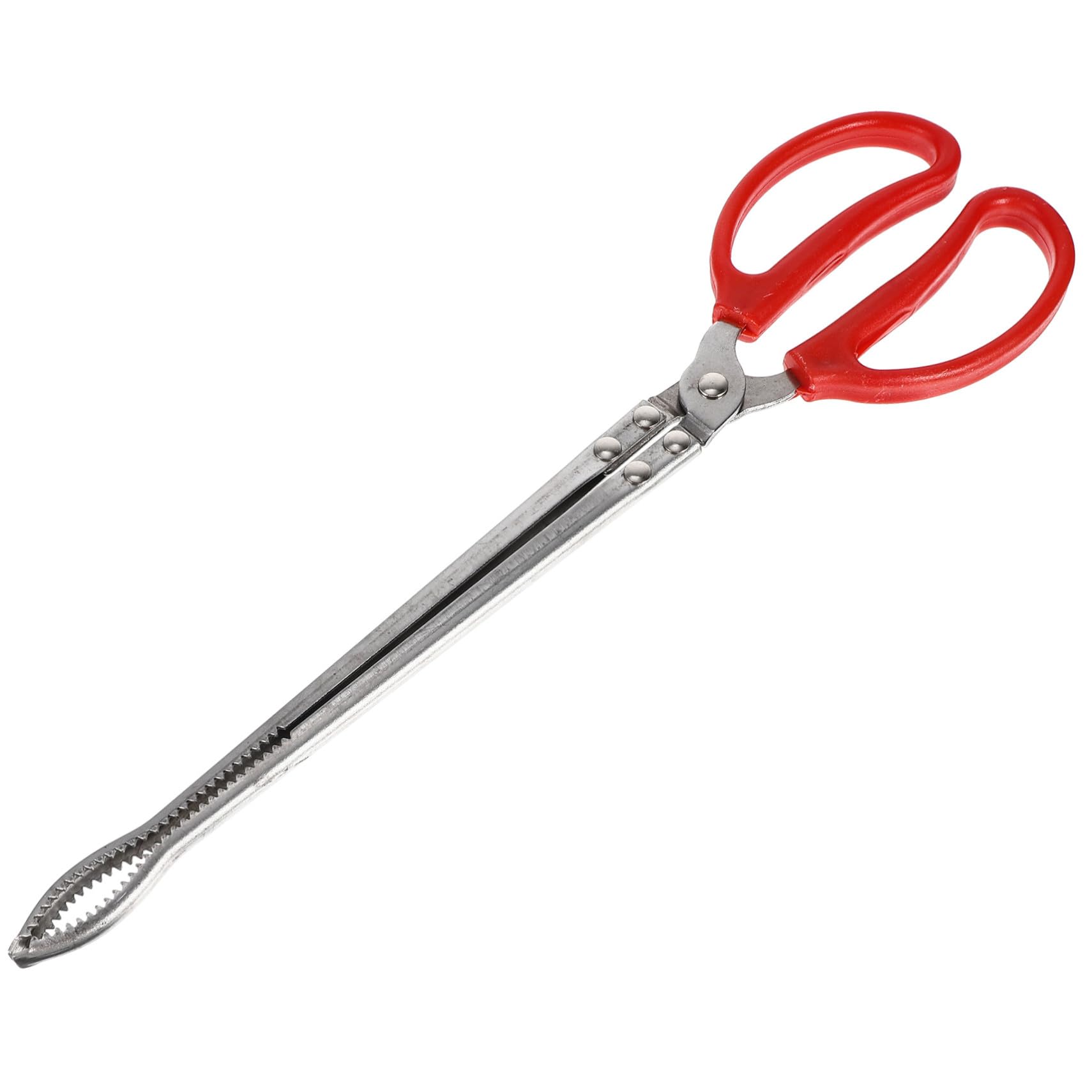 Pinza para Pesca de Acero Inoxidable Ligera y Resistente, Abrazadera Práctica para Cangrejos y Anguilas, Herramienta Adecuado para Captura en Playa y Río