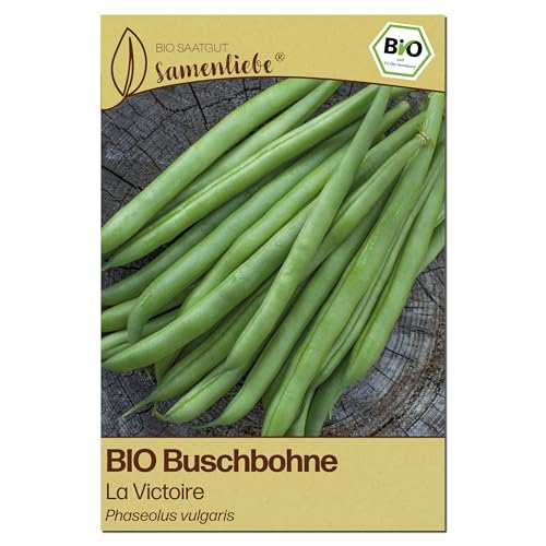 Samenliebe BIO Buschbohnen Samen | Bohne La Victoire - fadenlos & grün - samenfestes BIO Saatgut