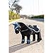 LeMieux Toy Pony Exercise Sheet - Navy - A Shower Resistant Mini Exercise Sheet