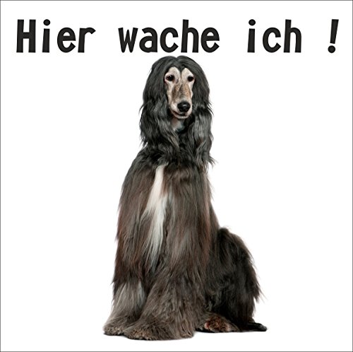 Hundeauf Kleber Hier wache ich Afghane
