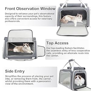 Texsens-Cat-Carrier-Large-Pet-Carrier-Soft-Cat-Carrier-for-2-Cats-Pet-Carrier-for-Cat-Collapsible-Cat-Bag-for-Home-Outdoor-Travel-Airline-Approved-Privacy-Protection-Grey - Cucciolini Doodles   Texsens-Cat-Carrier-Large-Pet-Carrier-Soft-Cat-Carrier-for-2-Cats-Pet-Carrier-for-Cat-Collapsible-Cat-Bag-for-Home-Outdoor-Travel-Airline-Approved-Privacy-Protection-Grey