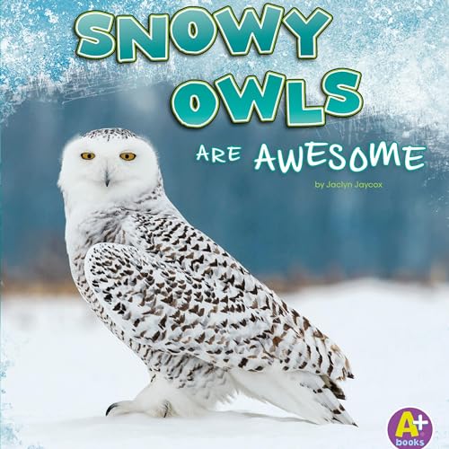 Snowy Owls Are Awesome by Jaclyn Jaycox episode artwork