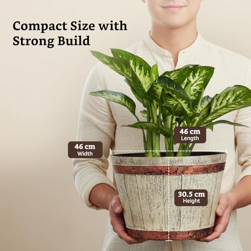 Image of Amazon Brand- Solimo Indoor and Outdoor Round 18 Inch Barrel Flower Planter Pot Best for Terrace /Balcony /Home /Office Decor - Set of 2