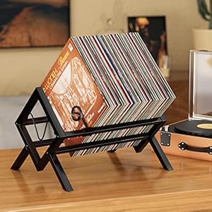 EKNITEY Schallplattenständer für 80-100 LPs