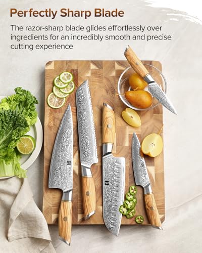 XINZUO 73 Schichten Damastpulverstahl 5-Teilig Chefmesser Set,handgeschmiedet scharfe Kochmesser Set...