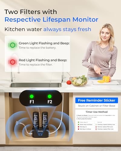 Image of Waterdrop DLG-P Under Sink Water Filter System, Reduces PFAS Chlorine Chloramine Fluoride Odor, 2 Stage Under Sink Water Filtration System with Dedicated Faucet, 2-Outlet Filter, Life Indicator