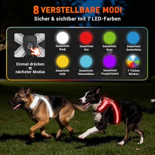 HENMI Hundegeschirr Leuchtend mit Hundeleine, Air-Mesh Leuchtgeschirr für Mittlere Hund, LED Aufladbar Reflektierend Geschirr Set für nächtliche Spaziergänge