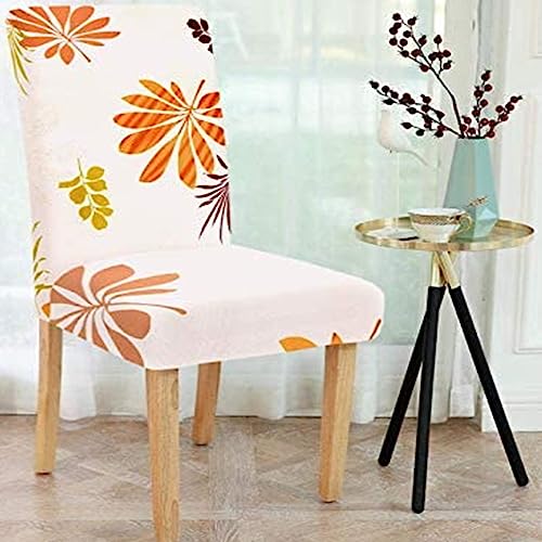 Image of Cortina Dining Chair Slipcovers | Protection Chair Covers | Floral Print, Removable, Washable | Universal Fit Super Soft Stretchy Polyester Spandex | Hotel, Marriage, Wedding | Pack of 6, Cream 2