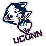 Desert Cactus UConn Huskies Sticker Decal (4" Set V1)